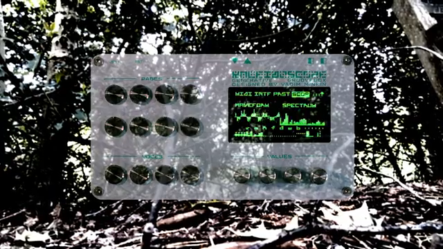 Oscillator Sink’s Kaleidoscope: A Sonic Prism of Drones and Dreams