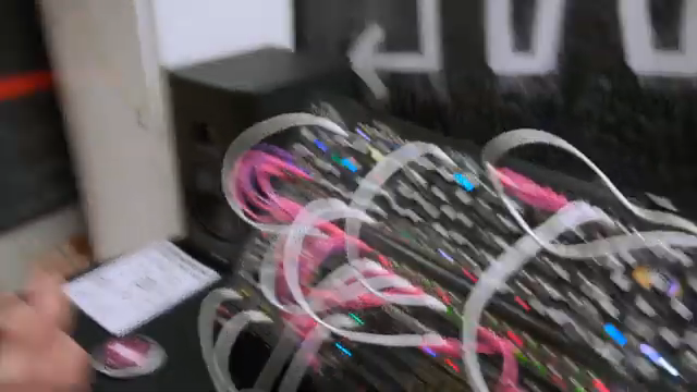 True Cuckoo & Walker from Make Noise: Modular Mayhem at Superbooth 2026
