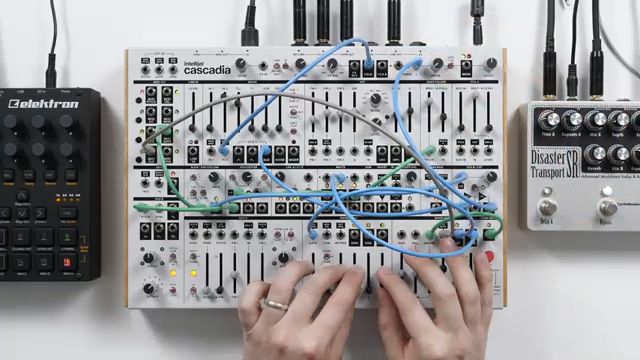 Intellijel Cascadia: Minimal Techno, Maximum Patchability
