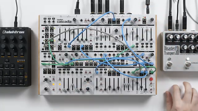 Intellijel Cascadia: Analog Minimalism in a Modular Techno Patch