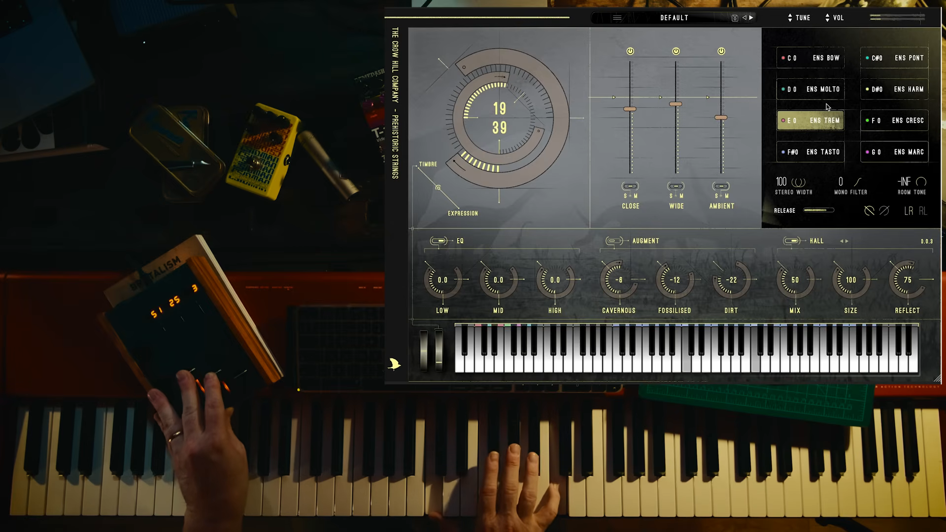 TheCrowHillCo’s Prehistoric Symphony: A Raucous Dive into String Alchemy