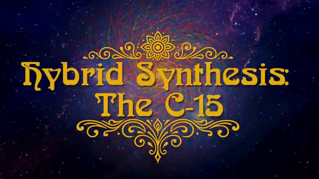 I want to show you deeper inside the C15 because this is the most advanced synthesizer that I own.