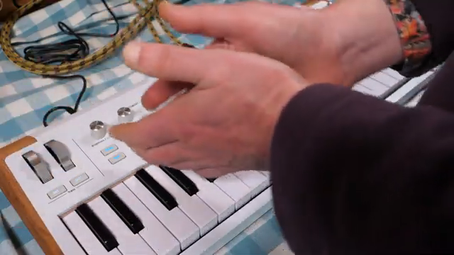 They can be tied to whatever the heck you like if you get into editing your own presets in Analog Lab.