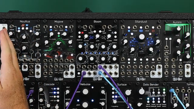 We added the recede button here, which dice rolls any and all aspects of your patch.