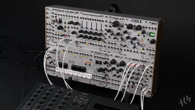 The flexible squid sample can be used like a live processor similar to a delay.