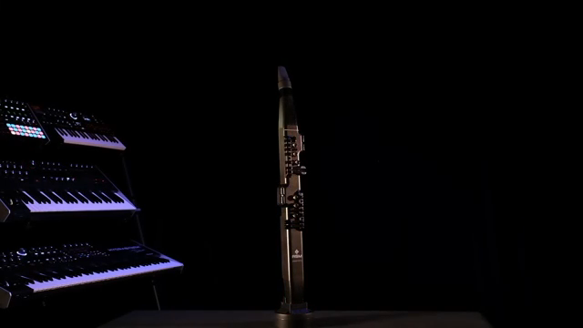 DioSynth is an advanced wind synthesizer designed for maximum expression, incredible sound design, and great player ergonomics.