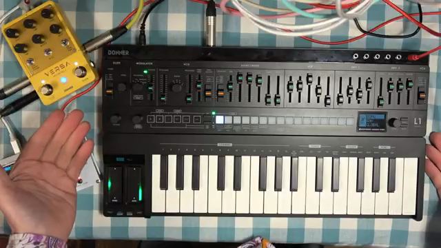 Now the L1 doesn't come with any effects at all and so having some kind of effect to run through is extremely useful for a synthesizer like…