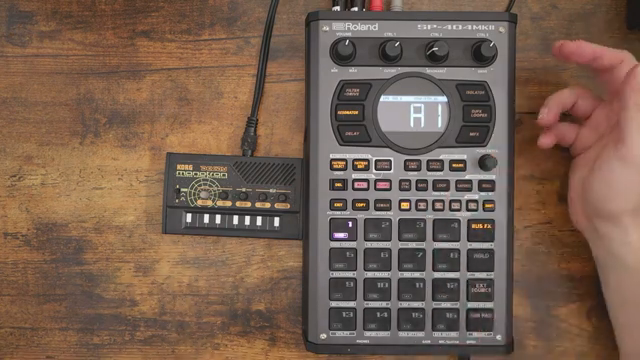 the 404 is just, in my opinion, indispensable because how else are you going to have a jam like that, really, that kind of organically…