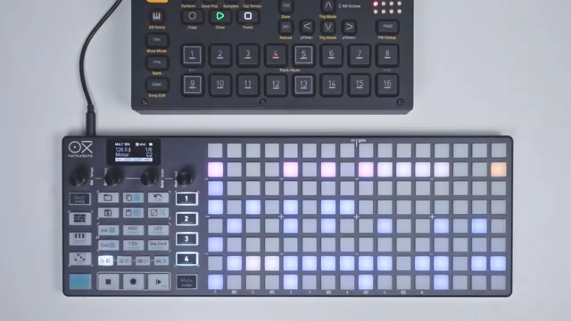 In multitrack mode, if you tap the keyboard button, you'll see the drum view.