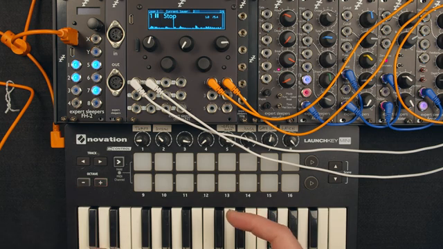 Expert Sleepers Disting NT: Looping in Layers, Modular Style