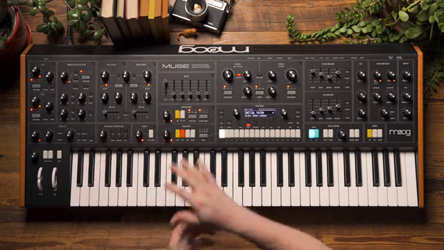 A single control that's able to modulate multiple panel parameters so that we can get some pretty radical morphing of our patches mid…