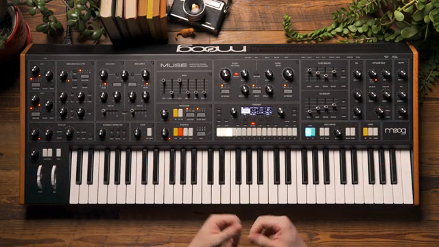 It opens up a really deep and amazing sort of expressive nature to Muse particularly when performing on stage.