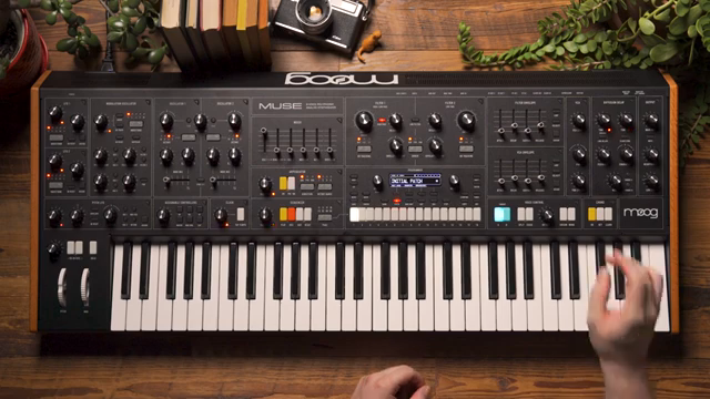 The diffusion delay is a great way to add some dimension and space to the sounds that you design on Muse.