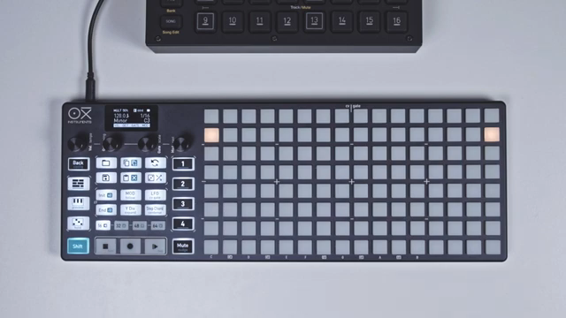 The random generator is also a very nice way to create interesting rhythmic and melodic patterns in multi-track mode.