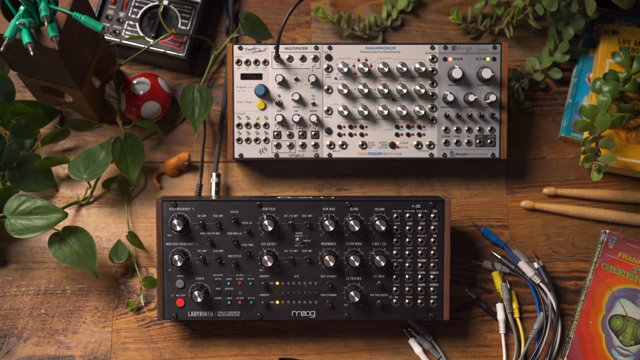 We can alter Labyrinth's behavior using an external clock and modulation source.