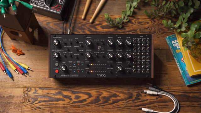 Labyrinth is particularly well suited to percussion sounds because we can separate the voice path into more of a duophonic behavior to be…