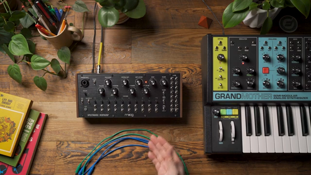 Spectravox is unique in that it straddles the line between instrument and processor.