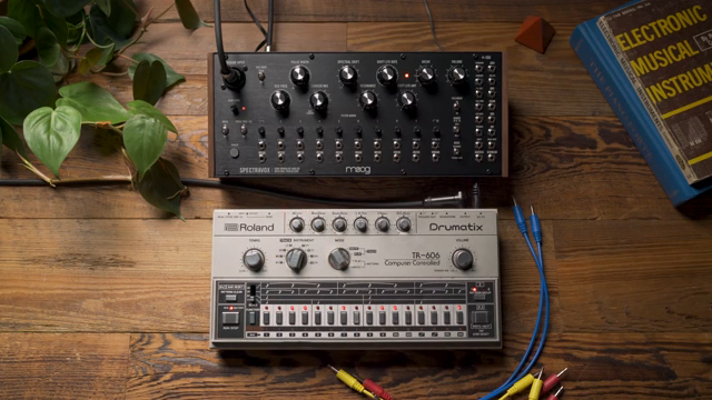 Spectravox is a unique device in that it straddles the line between instrument and processor.