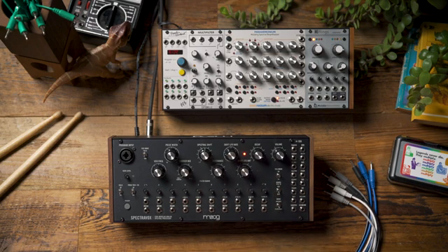 Moog Music Spectravox: Vintage Drum Machine Alchemy in a Modern Filterbank