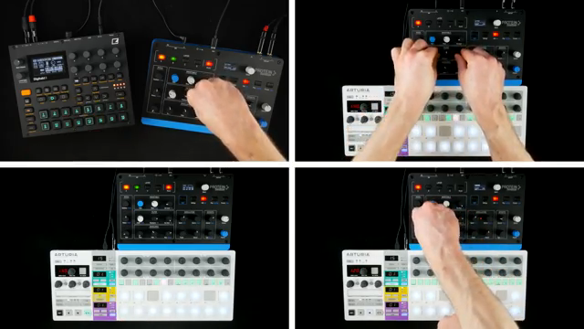 AudioPilz vs. Waldorf Protein: Retro Grit Meets Modern Misses