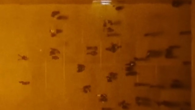 It's a movement. A technology of feeling. A machine dream. Still pulsing. Still evolving.