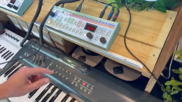 It's a hybrid between monophonic and polyphonic.