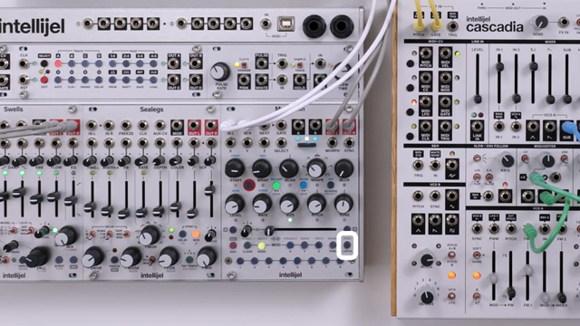 Intellijel Multigrain: Granular Delay Tactics in a Modular Playground