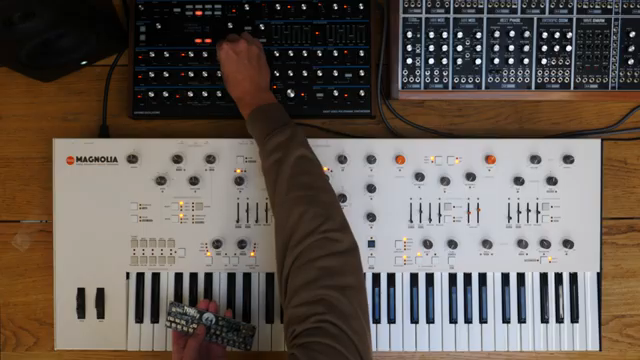 your Peak, or whatever else you're using, can't match the sound of the Magnolia's oscillators, which means you can match the tone. Well…