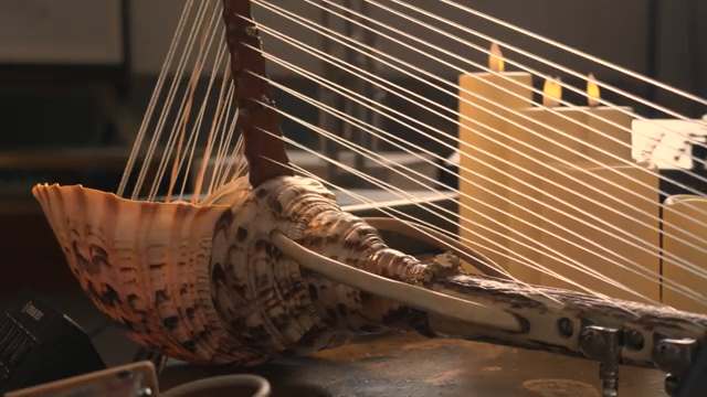 CROW HILL’s Forest Harps: Sonic Myths Woven from Bone and Shell